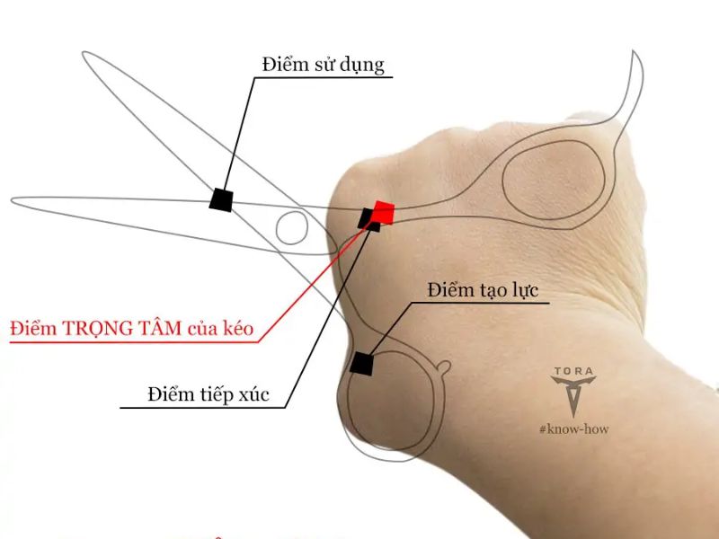 Kiểm tra độ cân bằng khi cầm kéo 