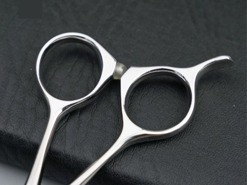 Lựa chọn quai kéo 6.0 Inches