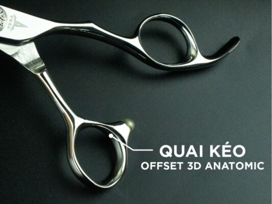 Quai Offset 3D Anatomic